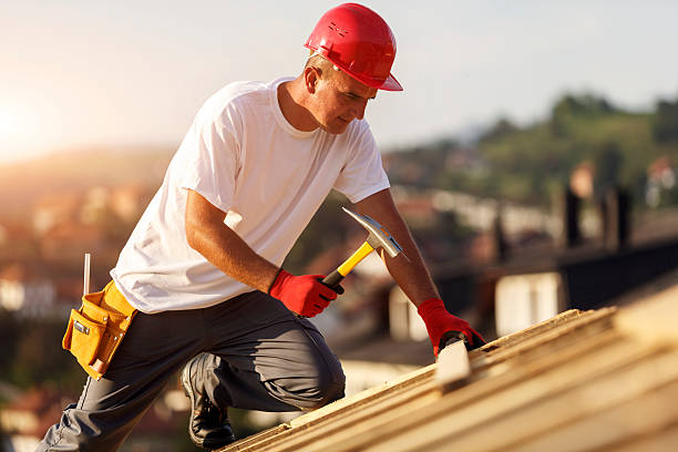 Limpeza de Telhado em Mirandópolis Limpeza de Telhado em Mirandópolis